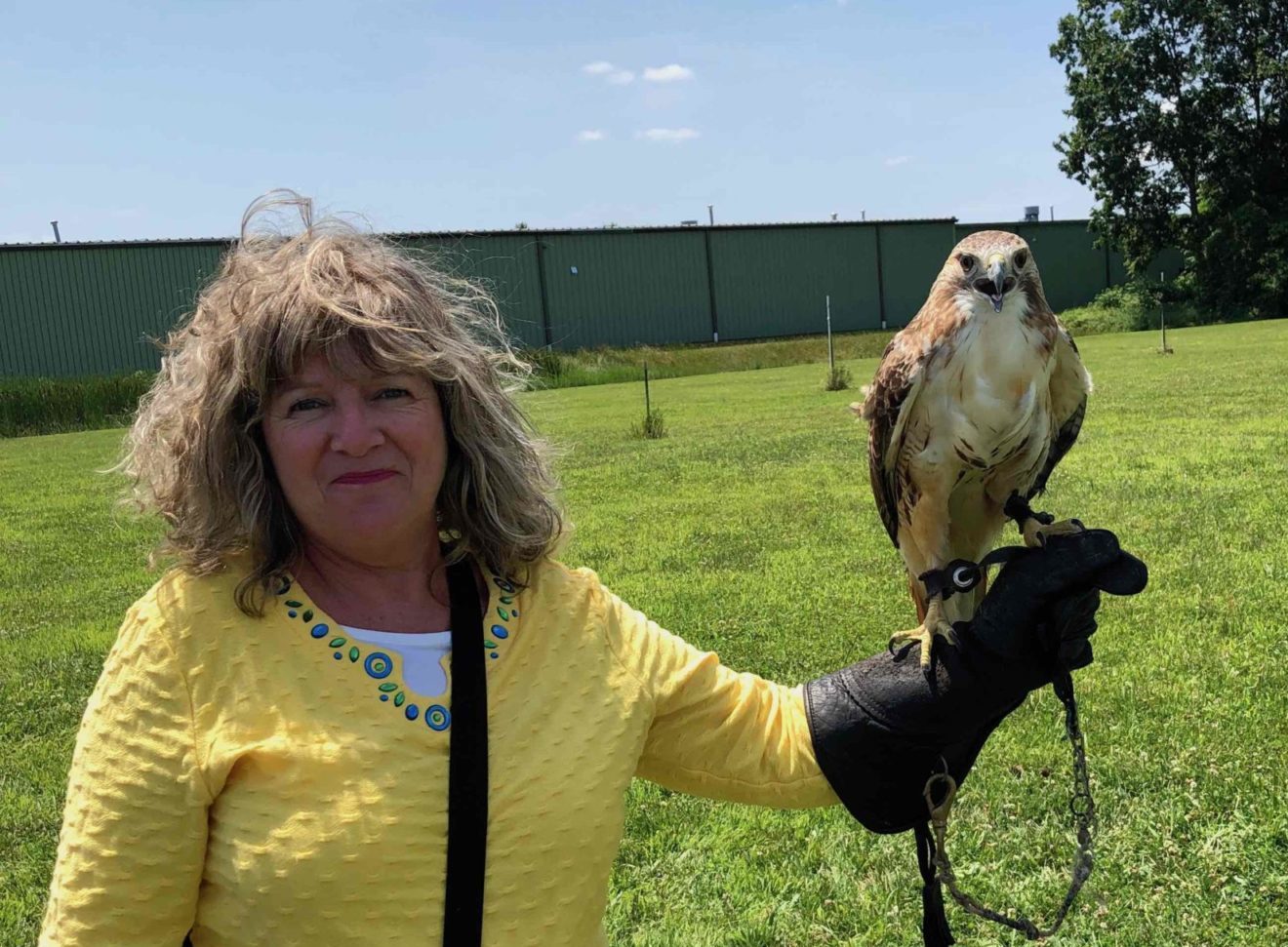 JQ w/Eagle